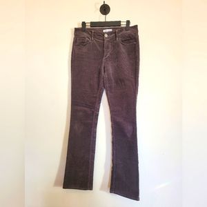 LOFT Curvy Boot Cords